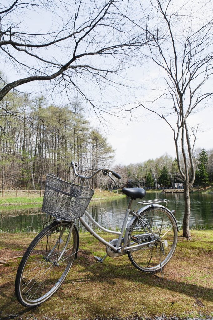 A silver bicycle with a front basket is parked on grass near a calm pond, surrounded by leafless trees and tall evergreens under a bright, partly cloudy sky.