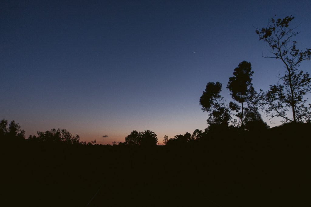 Silhouetted trees and plants stand against a darkening sky at dusk, with a gradient of deep blue and orange on the horizon and a single bright star visible.