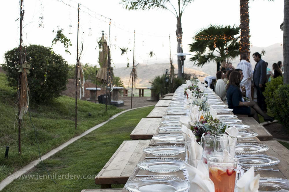 elopement RECEPTION party in a pretty grassy backyard with a view