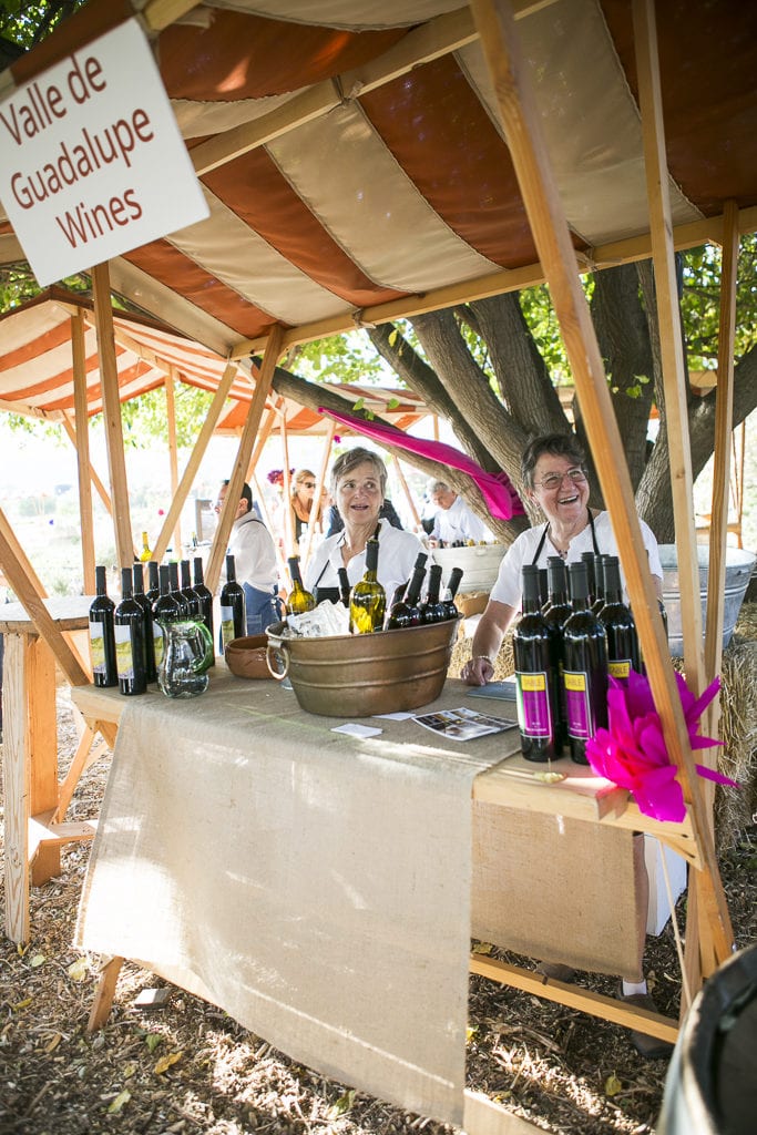 Two people stand behind a wooden booth labeled "Valle de Guadalupe Wines." The booth displays multiple bottles of wine and an ice bucket. The booth is covered with a tarp and located outdoors with trees in the background. The attendees are smiling and engaging.